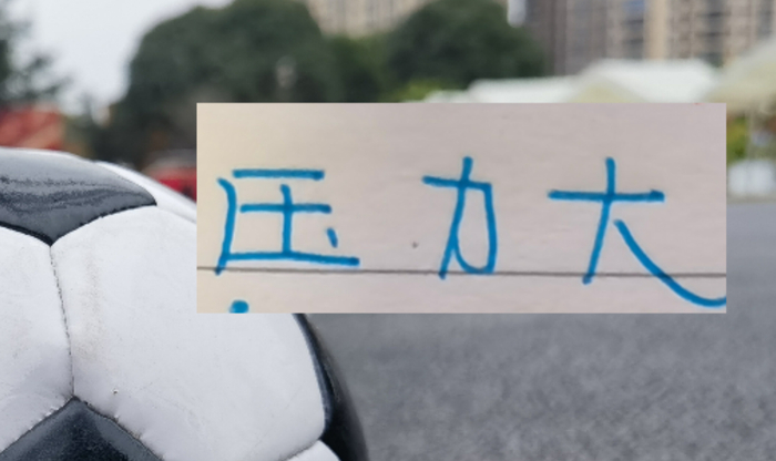 开云APP-申花今年压力大！只字没提成绩目标 核心后卫蒋圣龙也没有消息|上海申花|中后卫|蒋光太|上海申花足球俱乐部|杨帅_新浪体育_新浪新闻